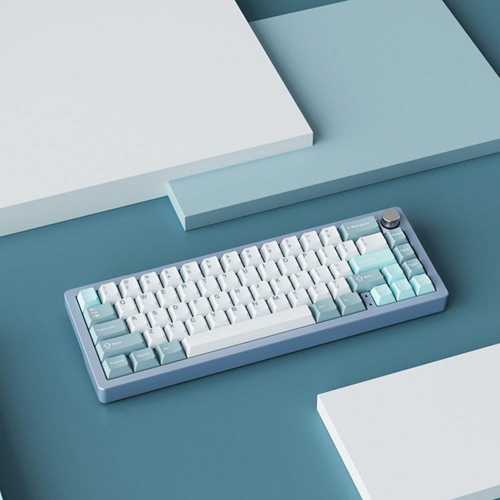 akemin Xinmeng A66 65% Aluminum Mechanical Keyboard – Nouvolo