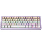 Xinmeng M67 65% Gasket Aluminum Mechanical Keyboard